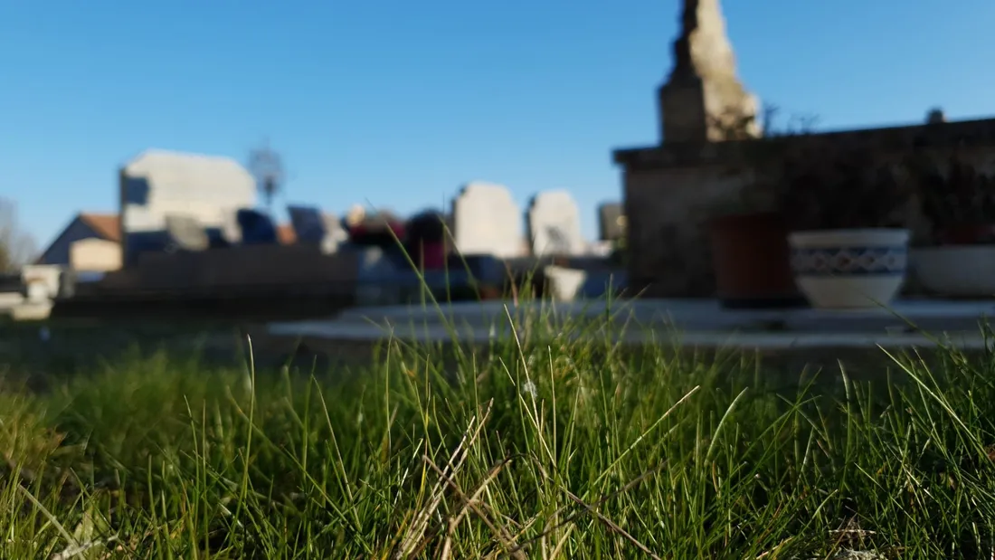 cimetière désherbage