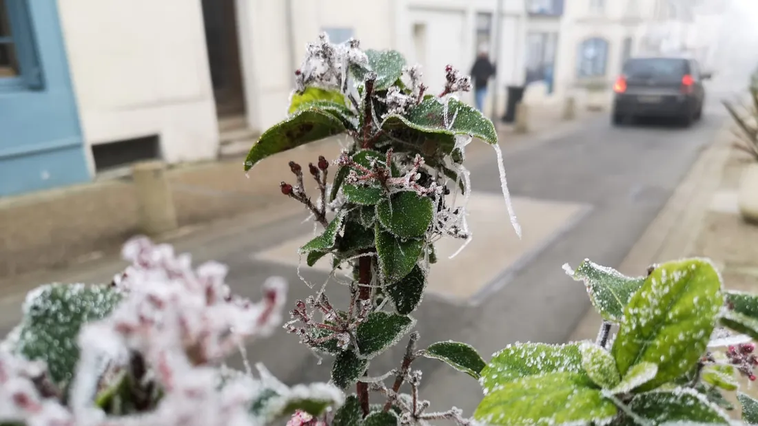 gel froid givre routes