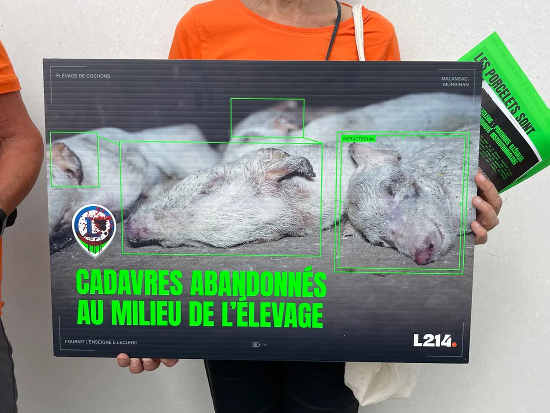 L214 Chartres / action Barjouville 5 juillet 2025