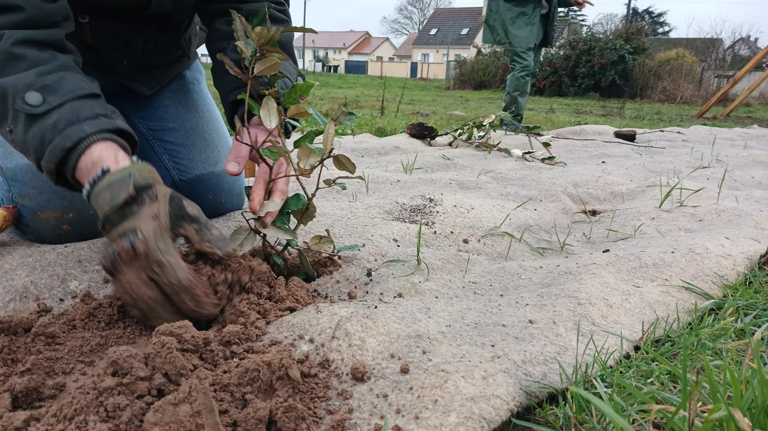 verger partagé à Orrouer