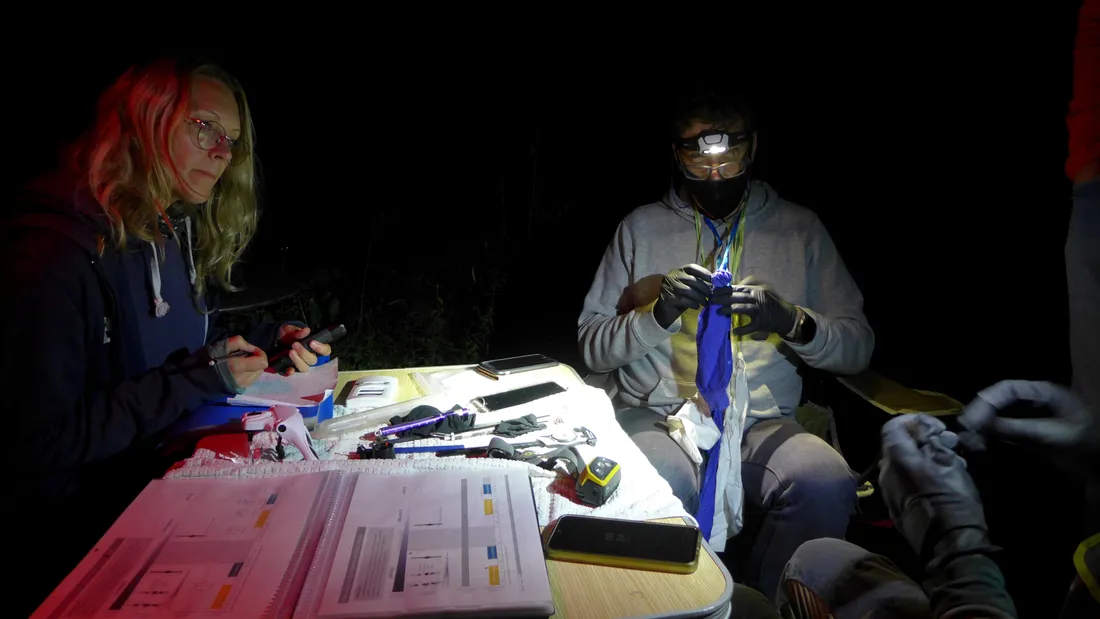 documentaire ARTE / Laurent Tillon