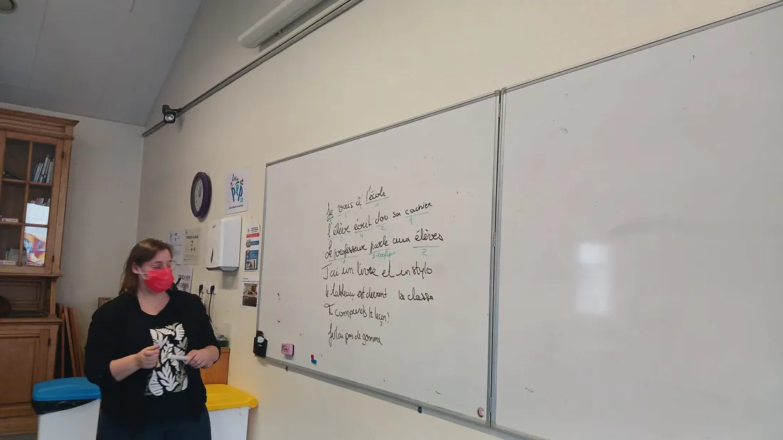 leçons LSF / surdité