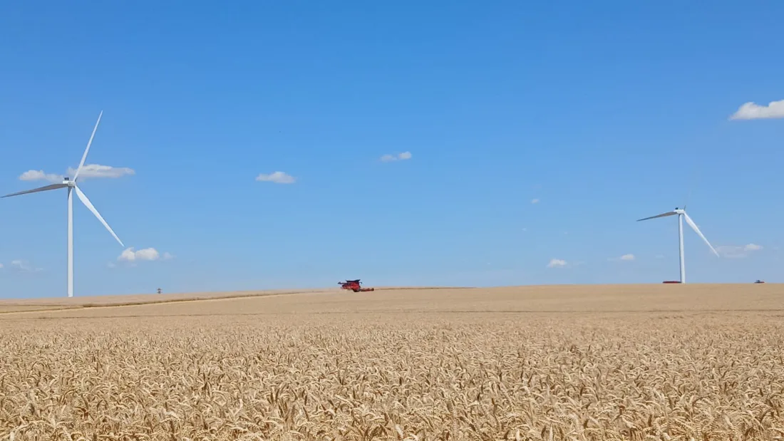 MOISSON CHAMP / blé