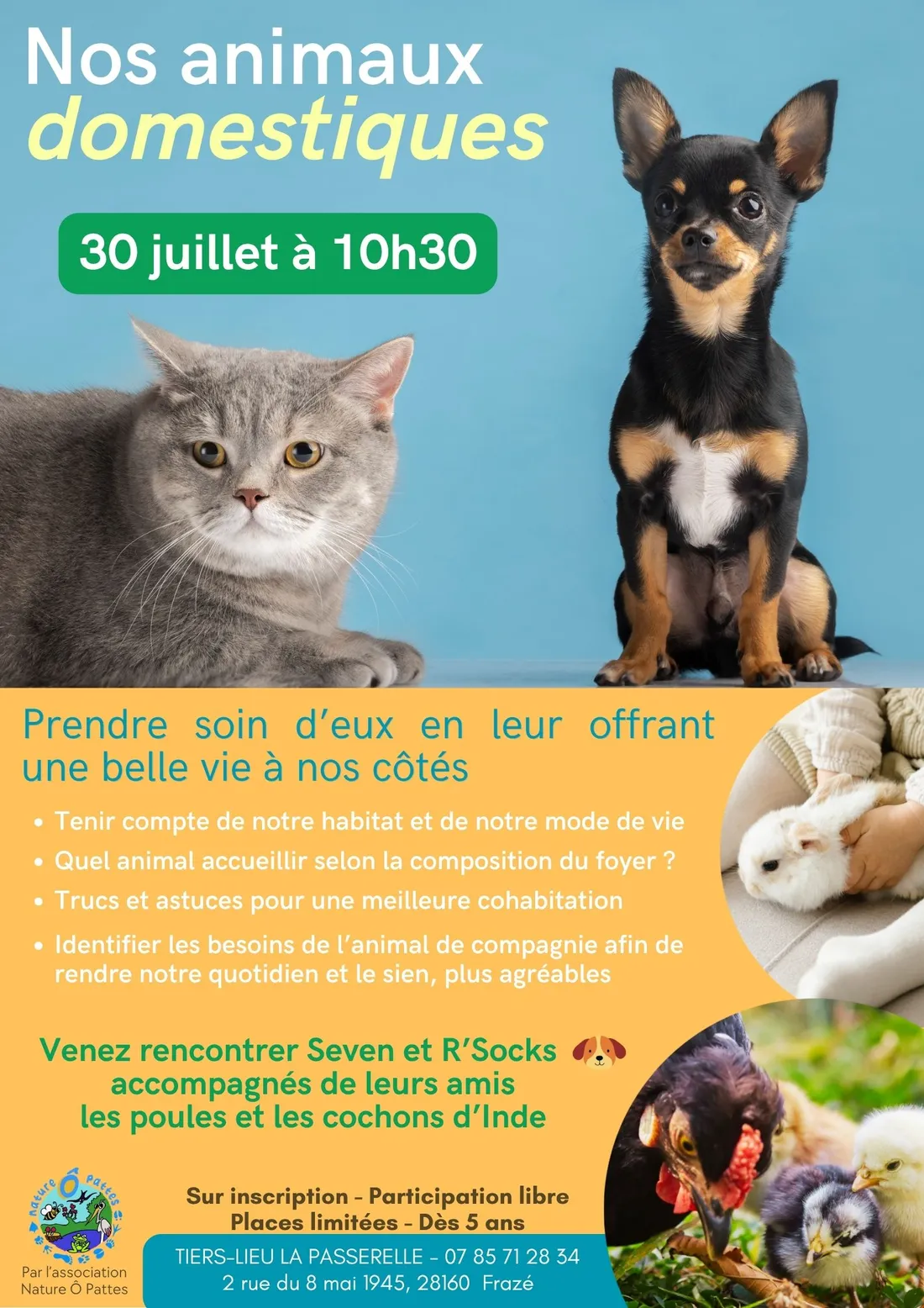 FRAZÉ - Atelier : Nos animaux domestiques