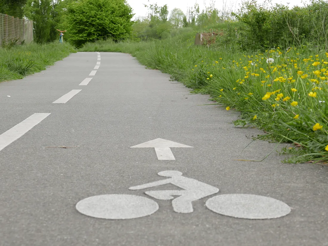 Piste cyclable,  nature