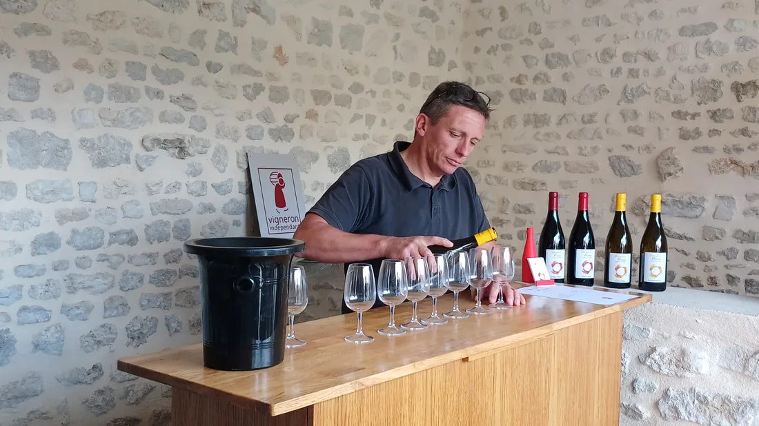 vignoble Nouvelle Plaine / Mérouville / Pinot noir / Chardonnay