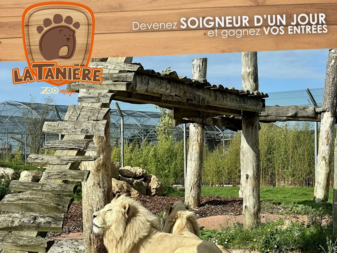 La Tanière vous accueille grâce à Intensité