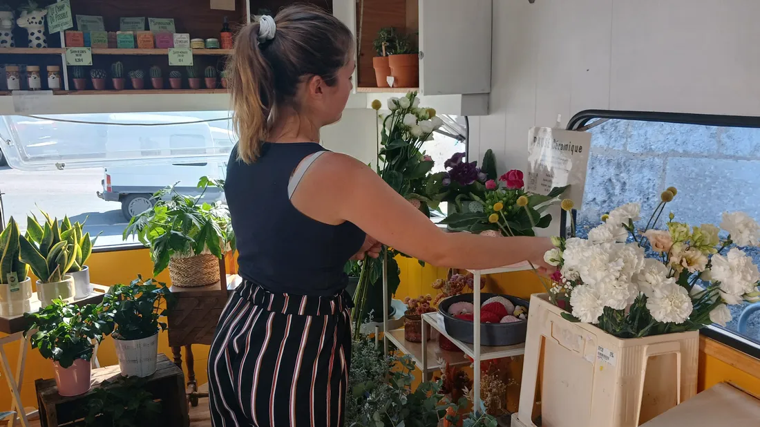 fleuriste ambulante / éclat de cosmos