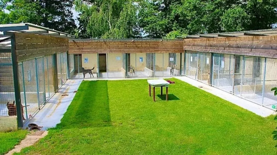  SPDA REFUGE / Serazereux / animaux / abandon