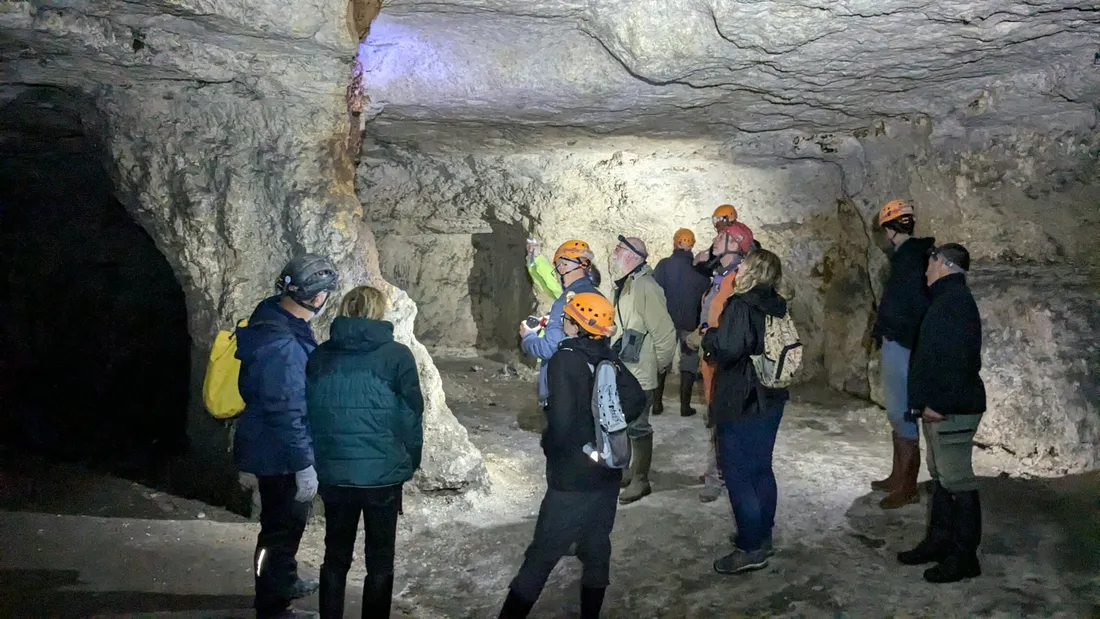 nuit avec les chauve-souris / Croc Marbot