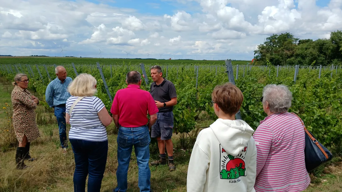 vins Nouvelle Plaine 