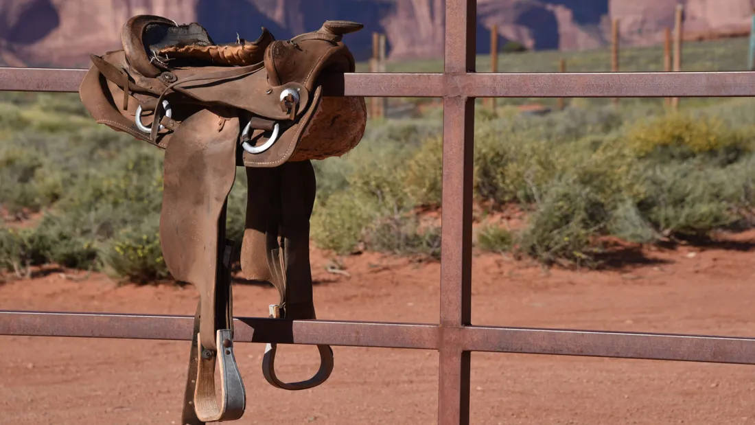 Western Show 