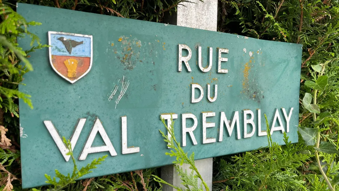 tremblay, rues, arbres