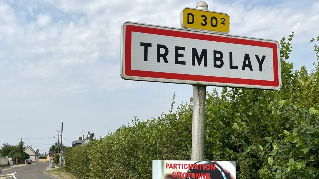 tremblay, rues, arbres