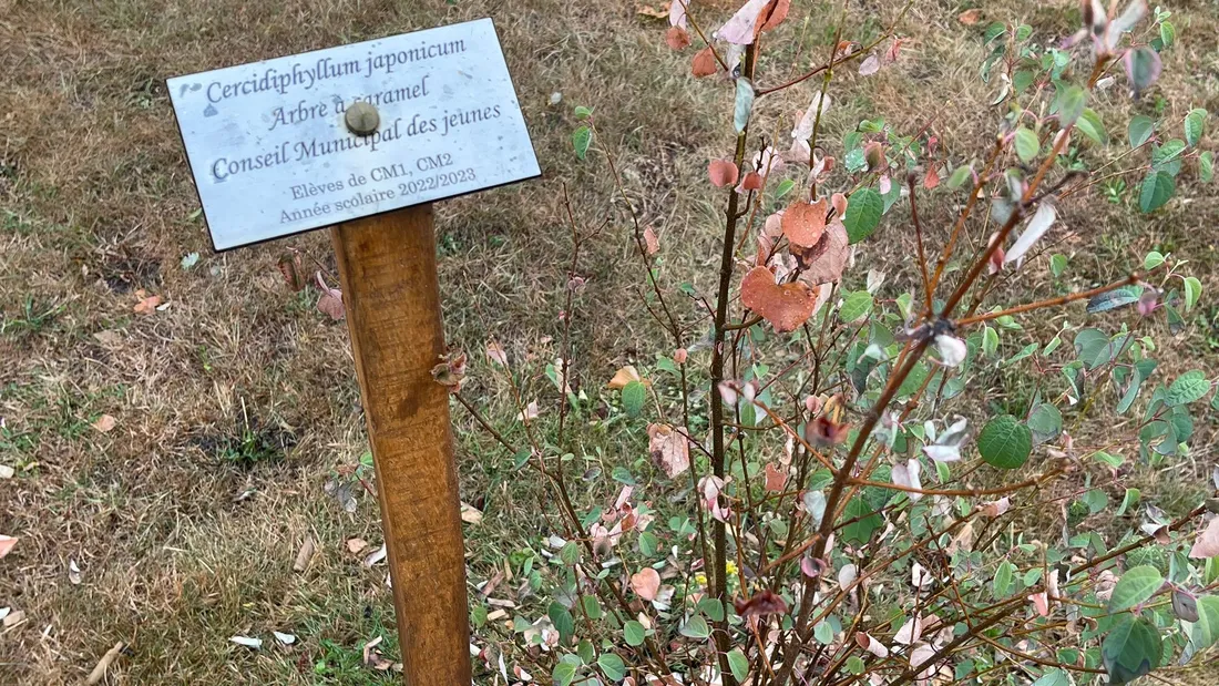 saint-georges-sur-eure, villes et villages fleuris