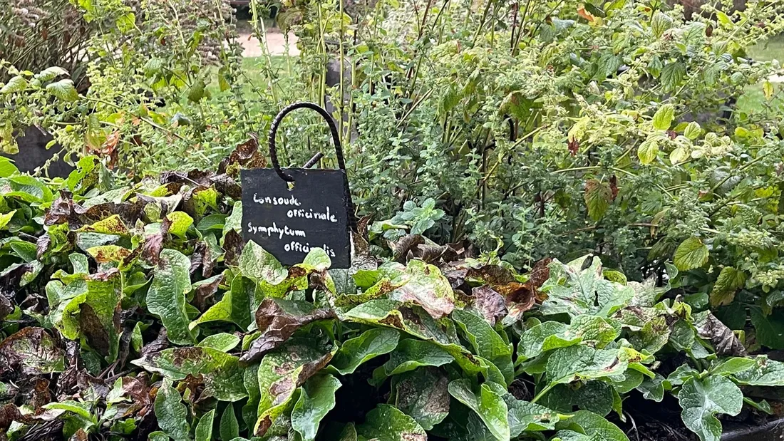 saint-georges-sur-eure, villes et villages fleuris