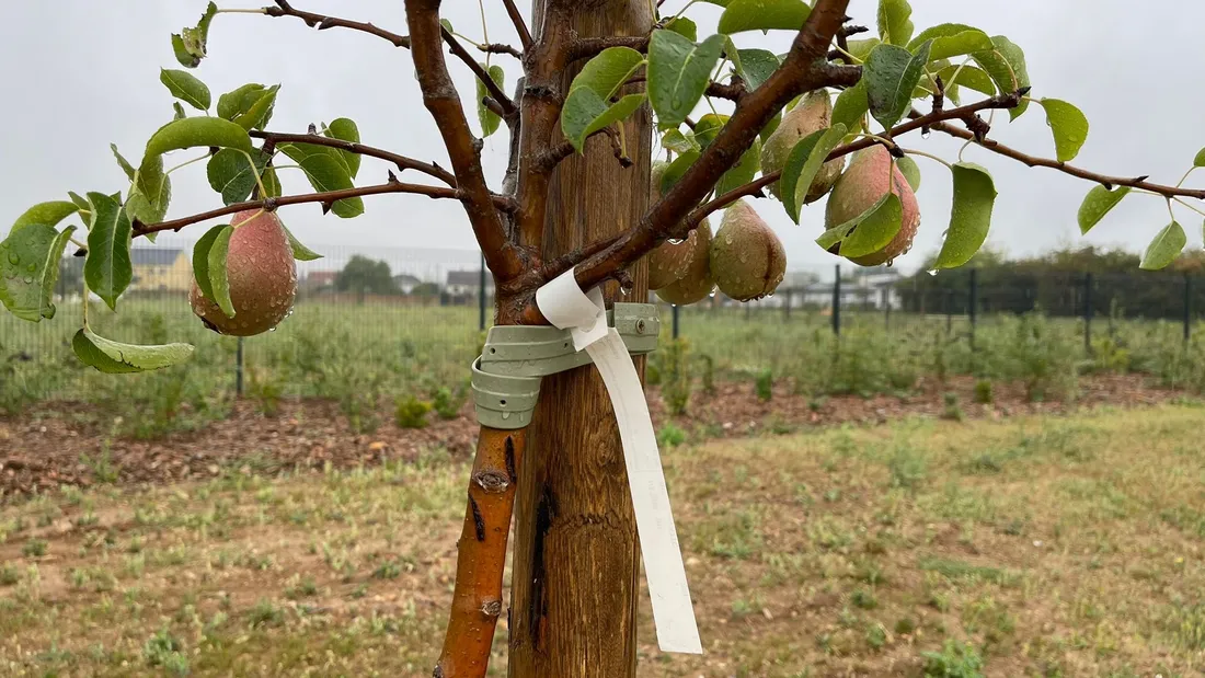 saint-georges-sur-eure, villes et villages fleuris