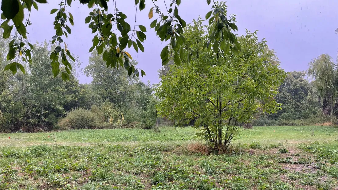 saint-georges-sur-eure, villes et villages fleuris
