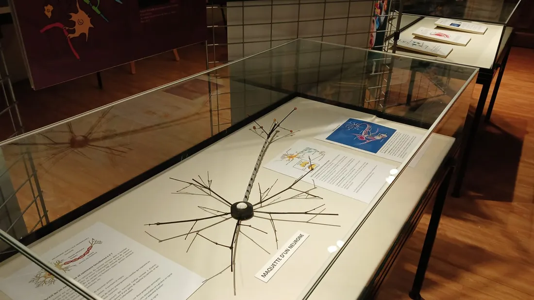 Maquette d'un neurone / exposition L'Odyssée du cerveau