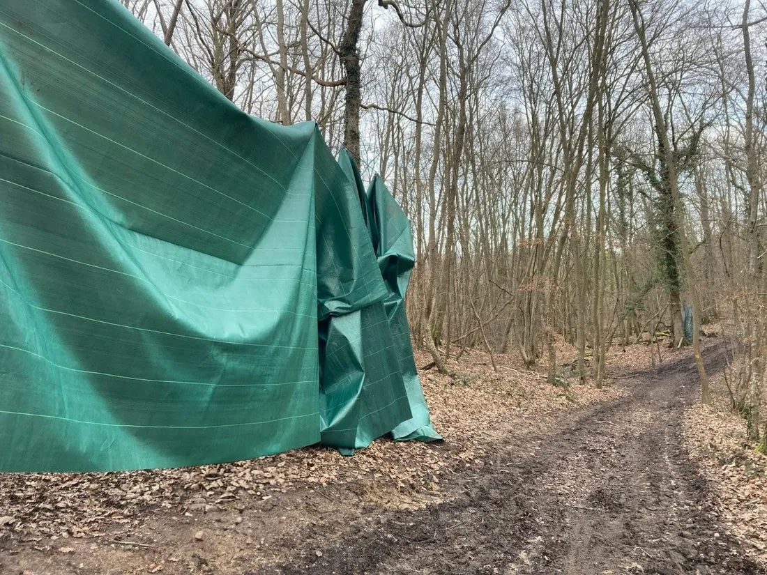 bâche forêt dreux chasse à courre