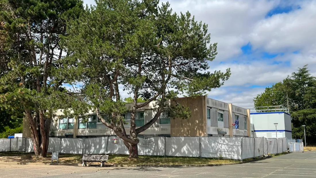 arbres, chantier, travaux