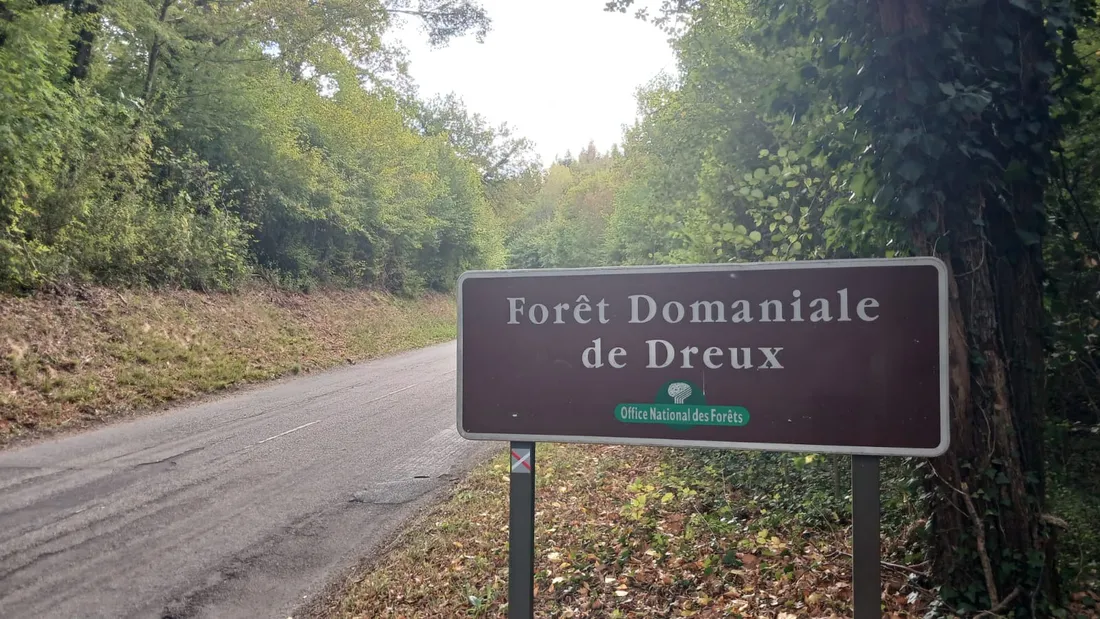 feu incendie Forêt Dreux
