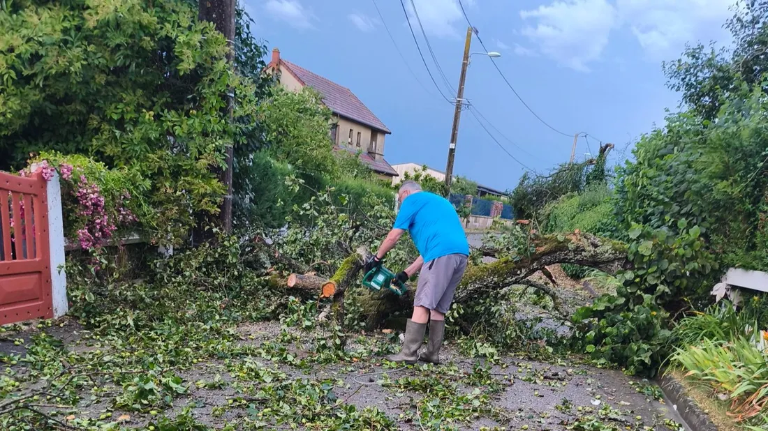 Chuisnes - arbres tombés après orage 