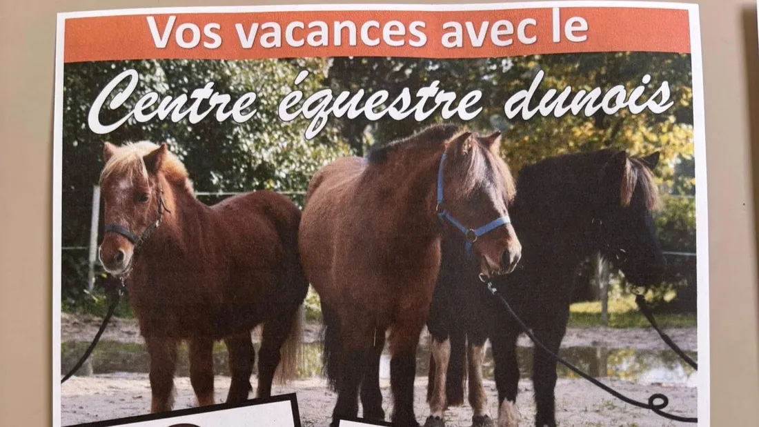 affiche équitation