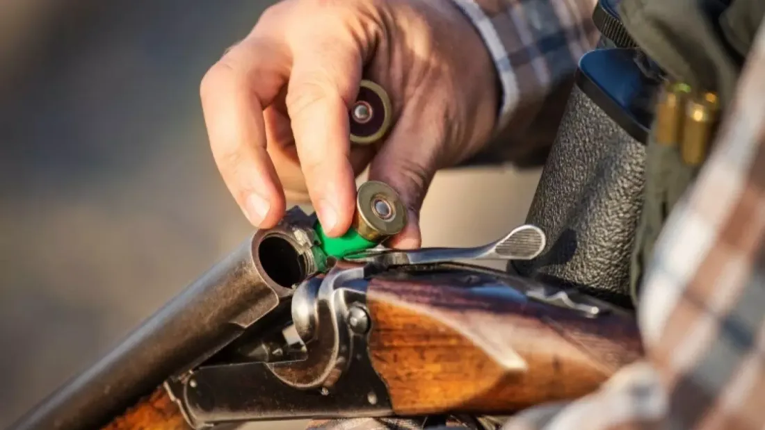chasse fusil