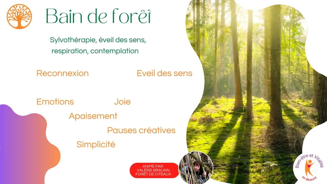 AUTAINVILLE (41) - Bain de Forêt – Eveil du printemps pour Adultes