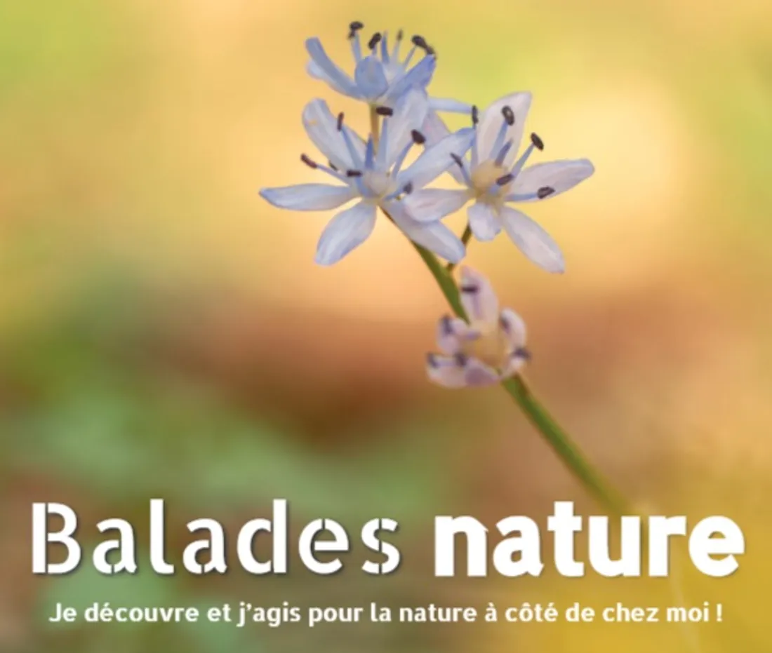 balade nature