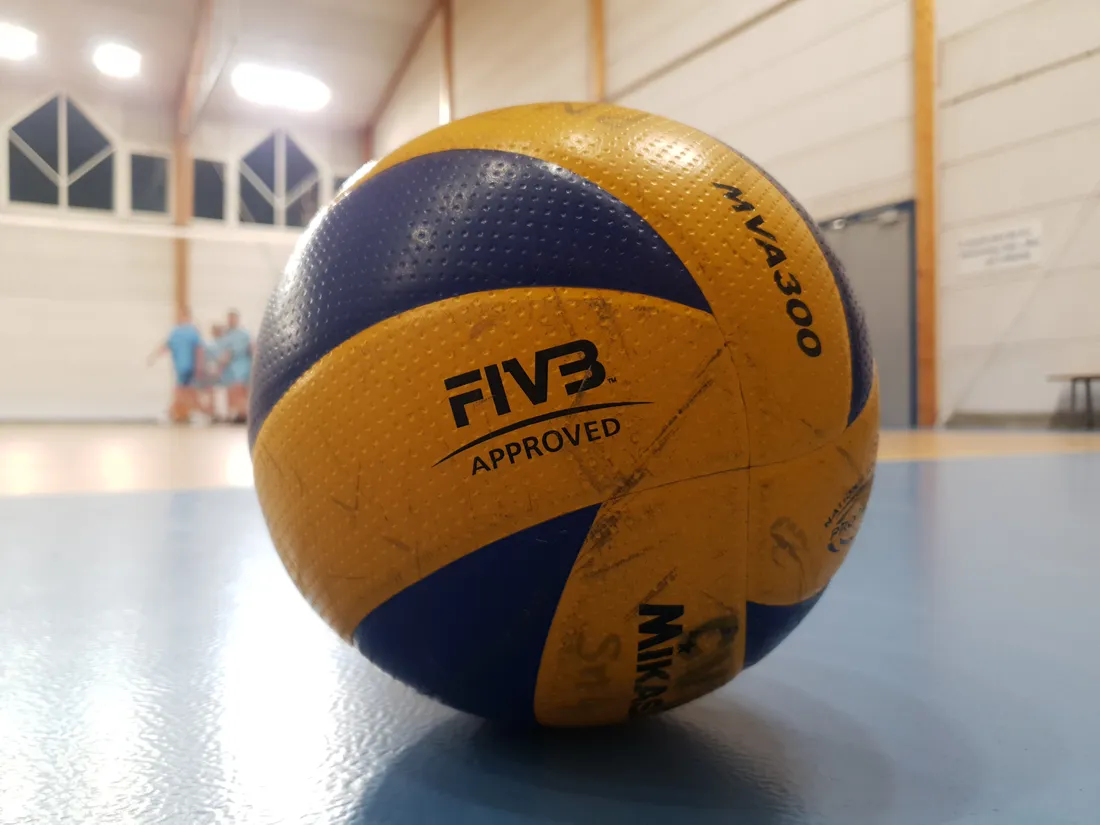 Ballon de Volley-ball 