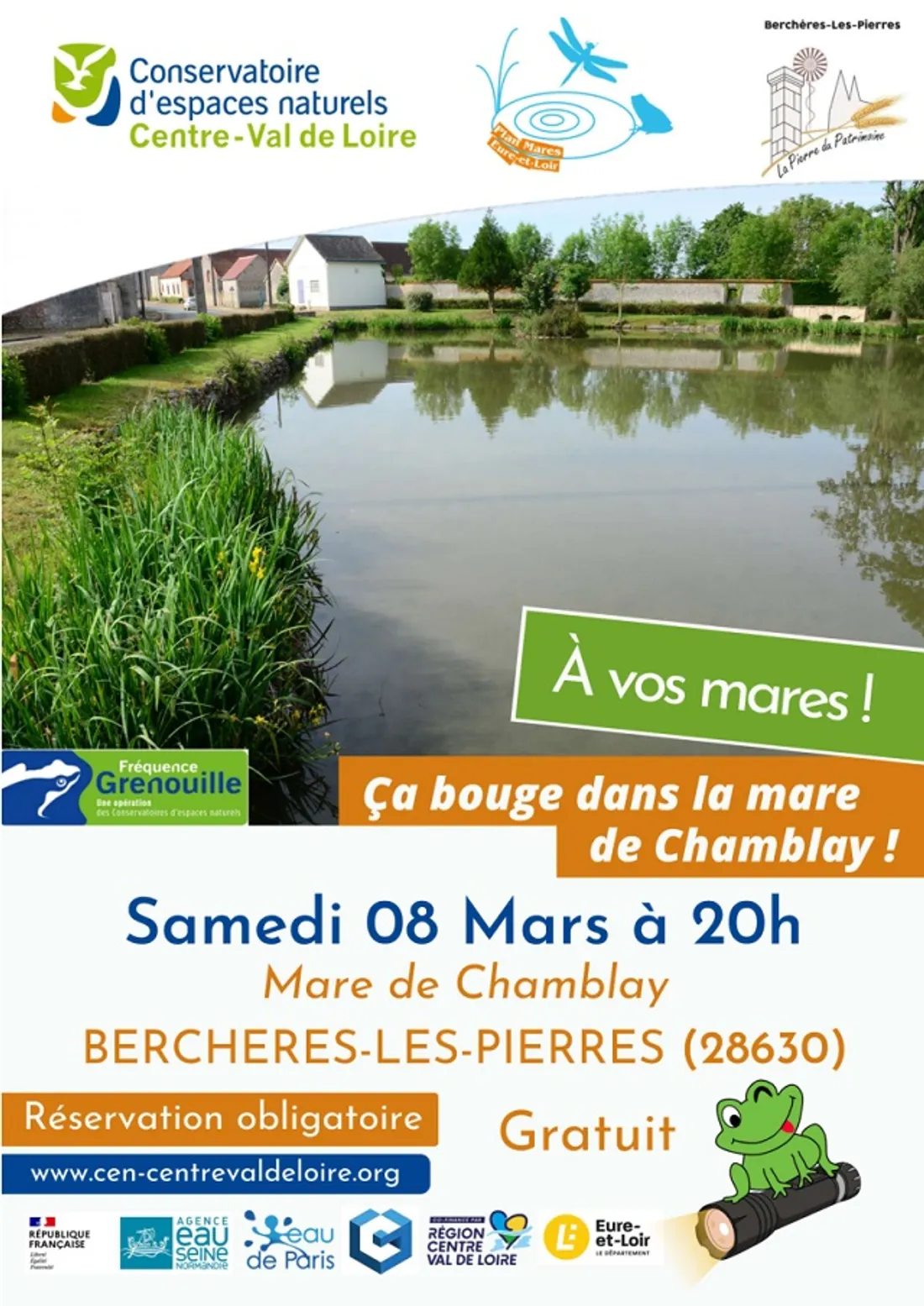 BERCHÈRES-LES-PIERRES - Nature : Ça bouge dans la mare de Chamblay