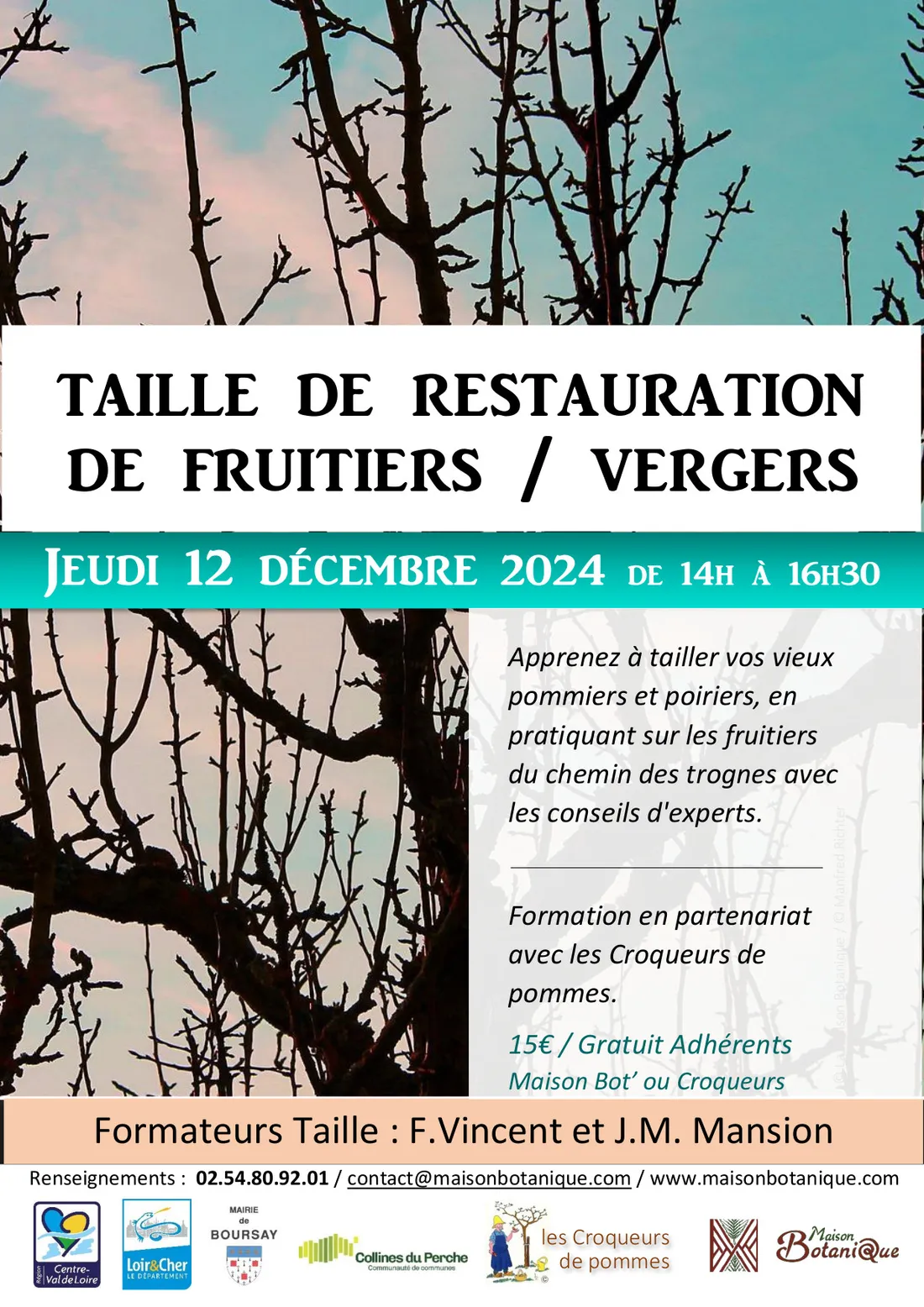 BOURSAY (41) - Stage : taille de restauration de fruitiers
