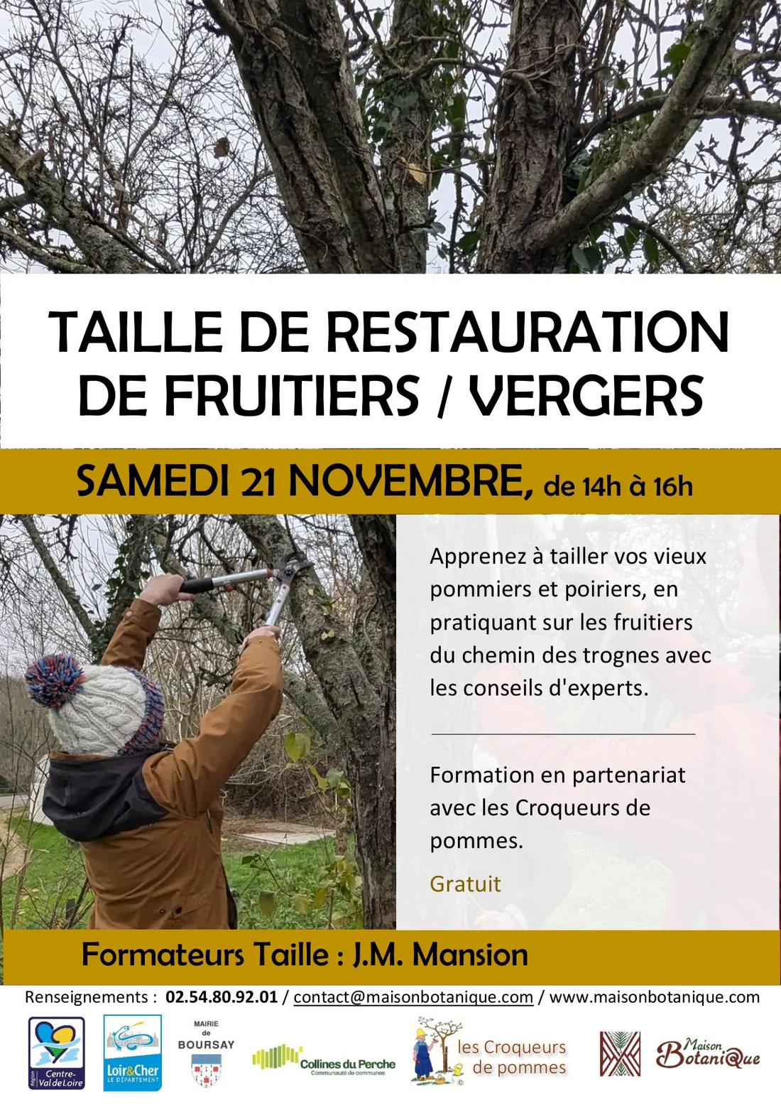 BOURSAY (41) - Taille de restauration des fruitiers