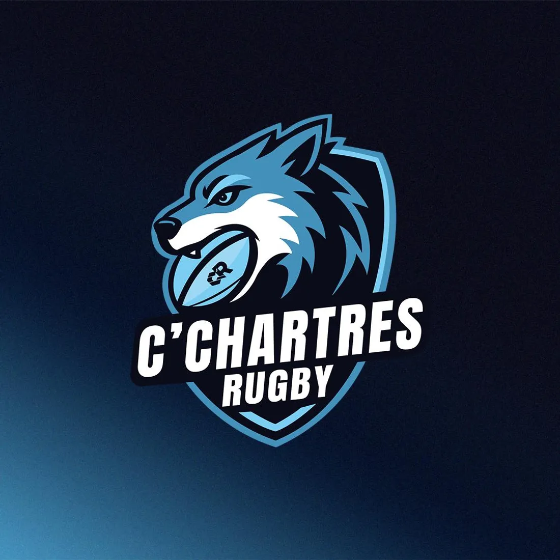 rugby, chartres, recrue