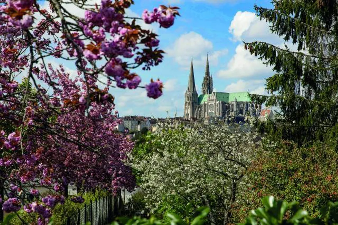 Cathédrale de Chartres