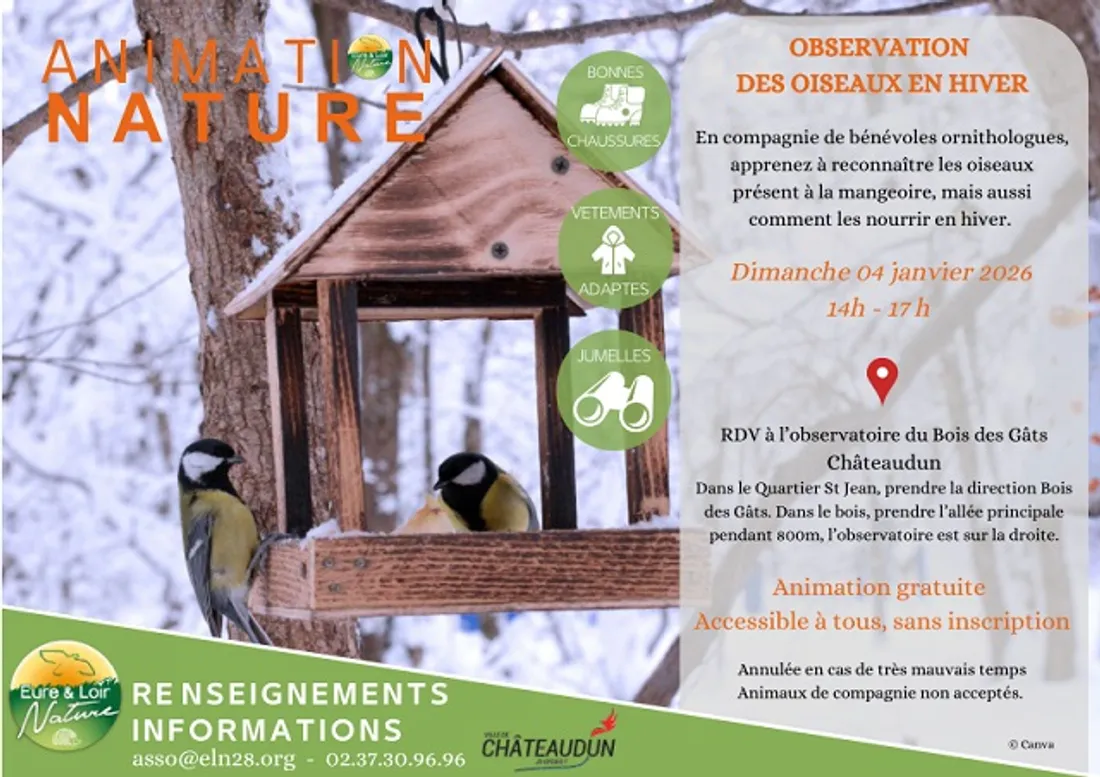 CHÂTEAUDUN - Observation des oiseaux en hiver