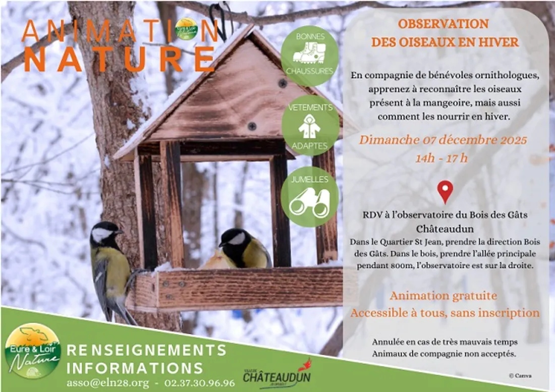 CHÂTEAUDUN - Observation des oiseaux en hiver