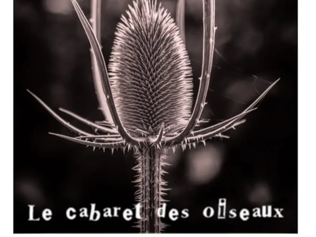 CHÂTEAUDUN - Spectacle : Le cabaret des oiseaux