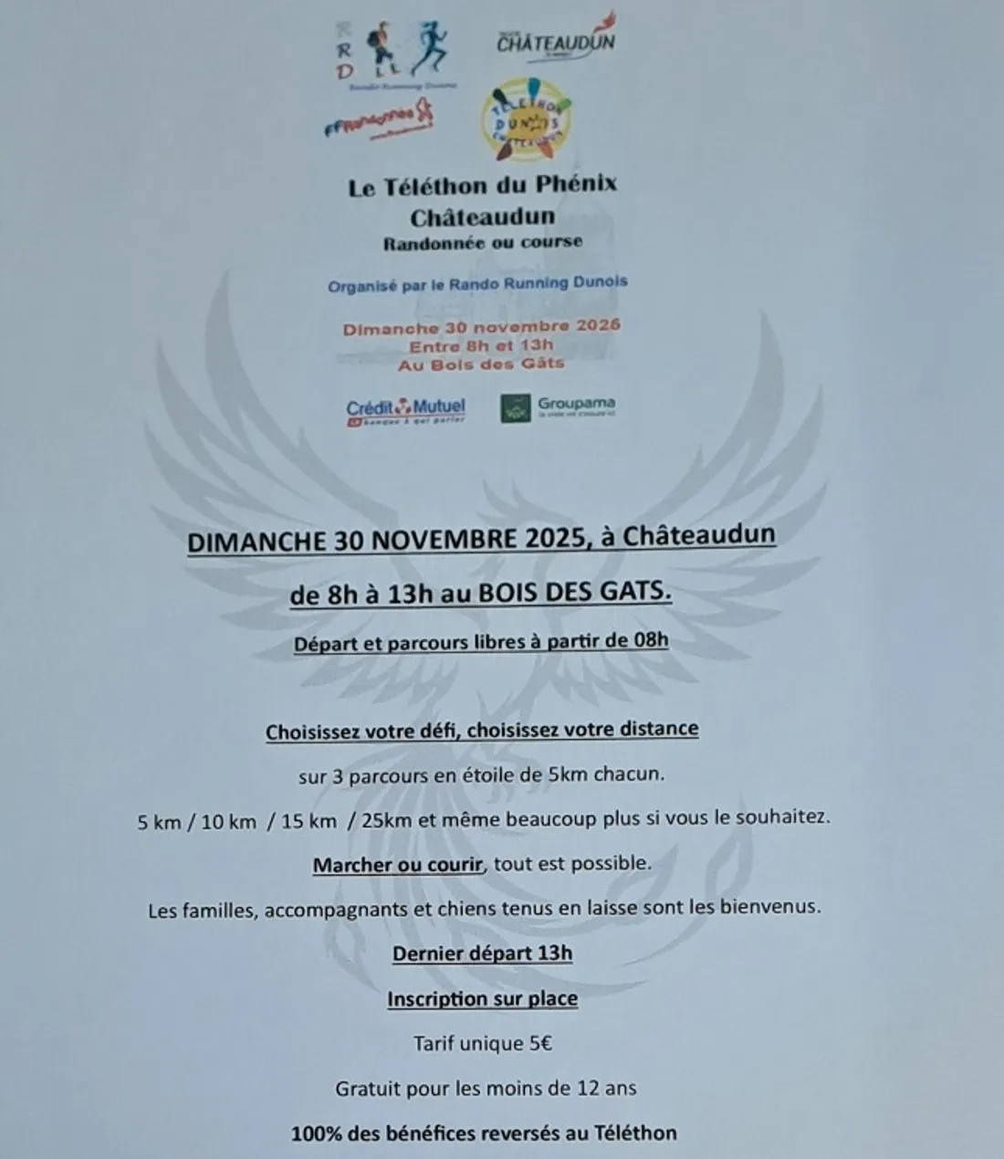 CHÂTEAUDUN - Le Téléthon du Phénix