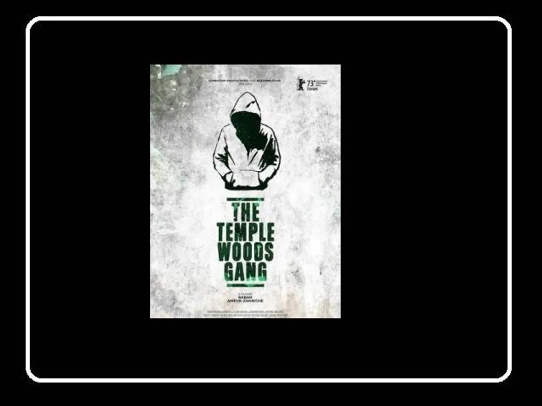 CHARTRES - Ciné-Club : Le gang des bois du temple