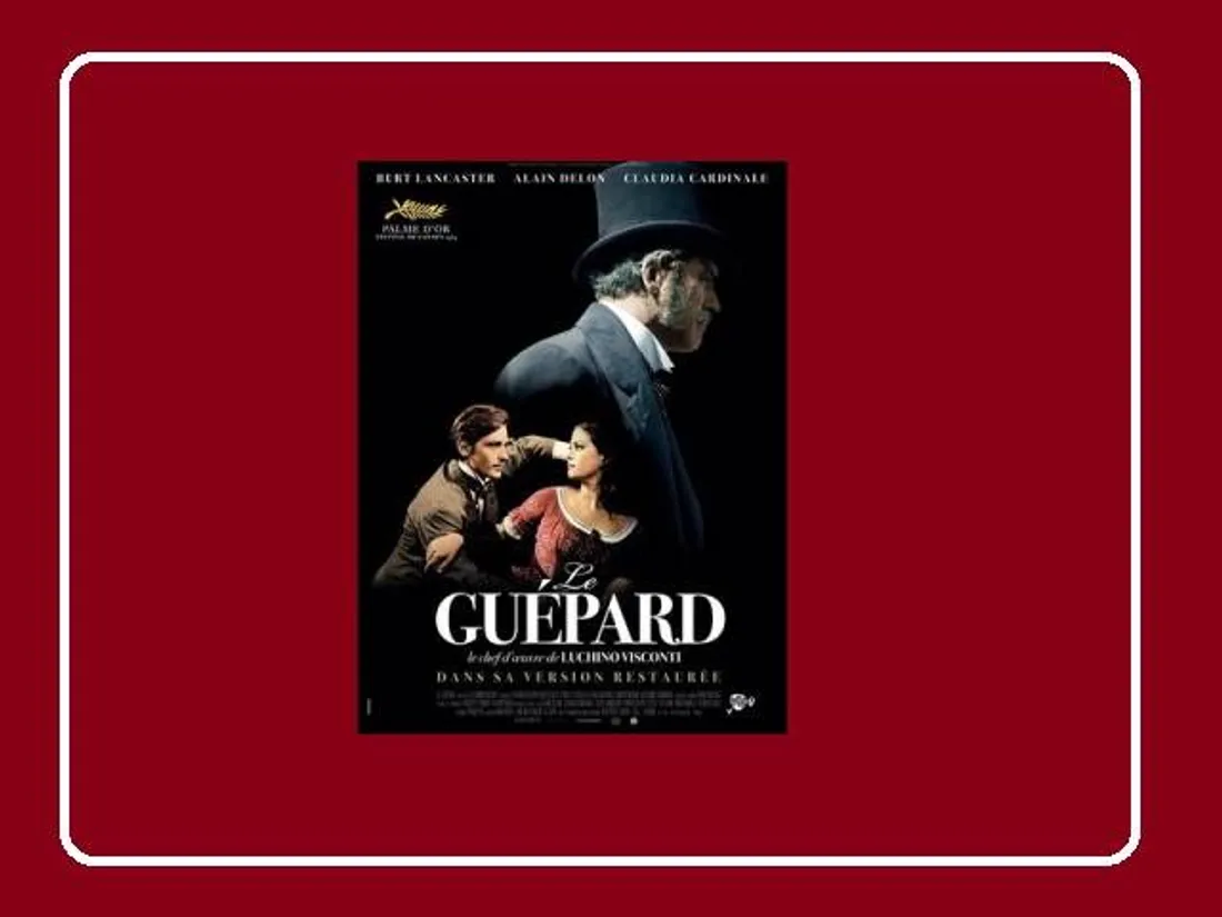 CHARTRES - Ciné-Culte : Le guépard