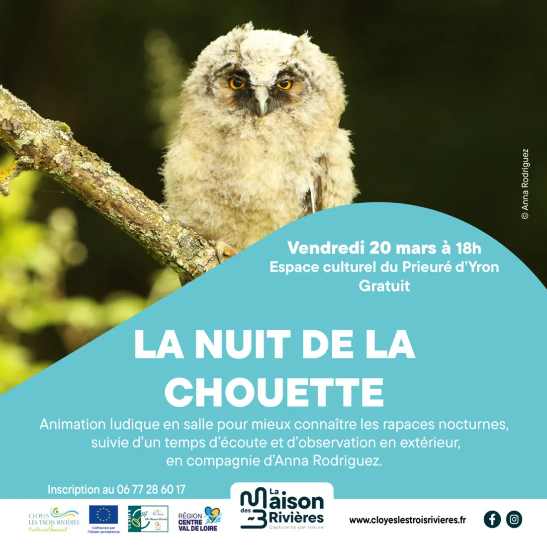 CLOYES-SUR-LE-LOIR - Nuit de la chouette