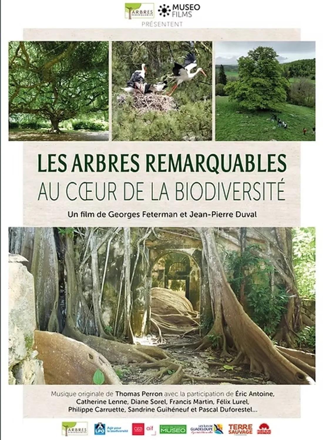CLOYES-SUR-LE-LOIR - Projection : Les Arbres Remarquables au cœur de la biodiversité