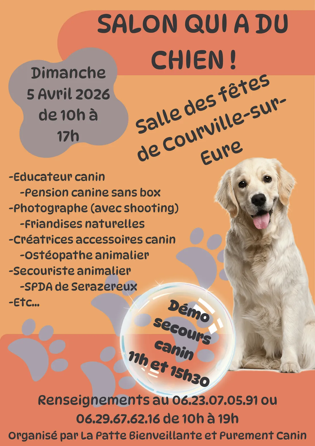 COURVILLE-SUR-EURE - Salon qui a du chien