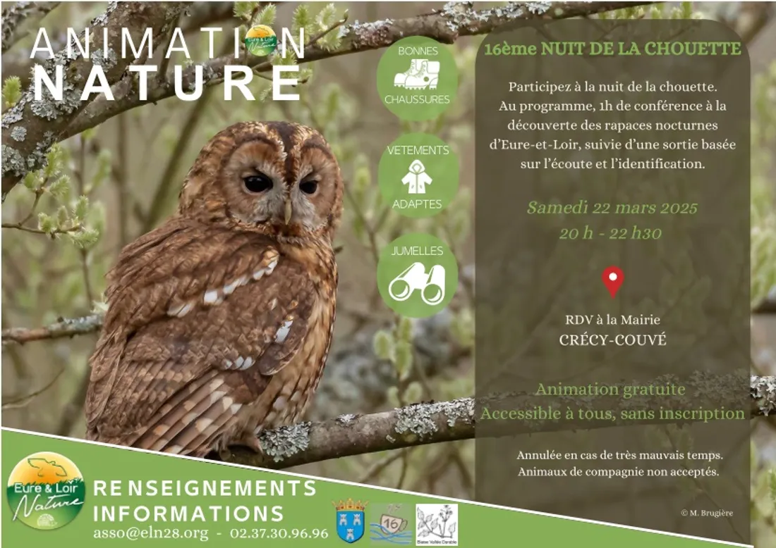 CRÉCY-COUVÉ - 16e nuit de la chouette