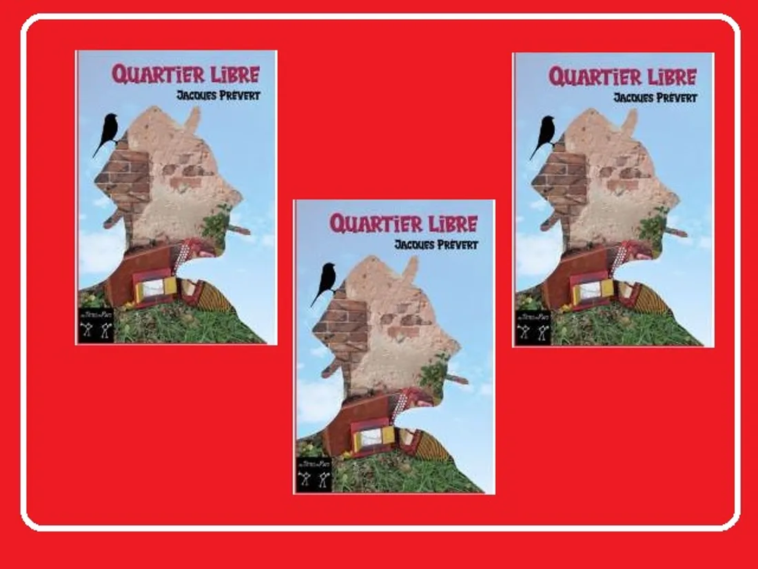 Quartier libre têtes de piafs