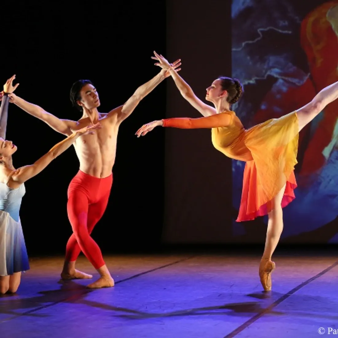 DOURDAN (91) - Ballet : Mosaïque