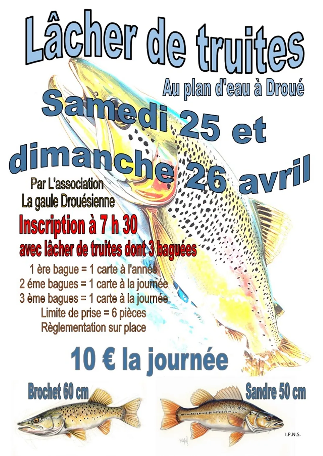 DROUÉ (41) - Lâcher de truites